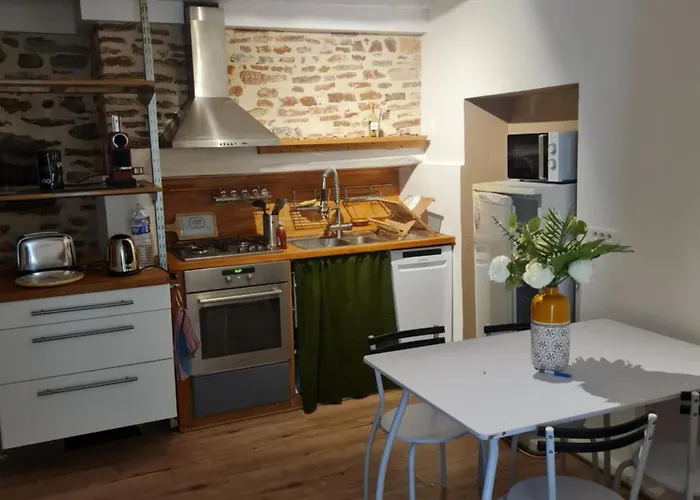 Maison De Cadurcienne Plein Centre 公寓 *